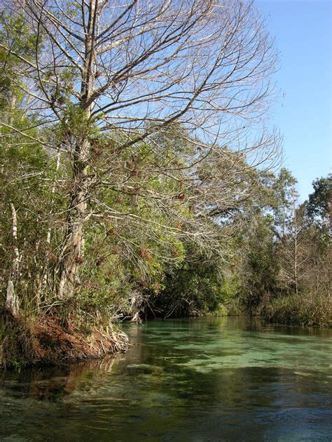 Weeki Wachee River - Adventure Outpost