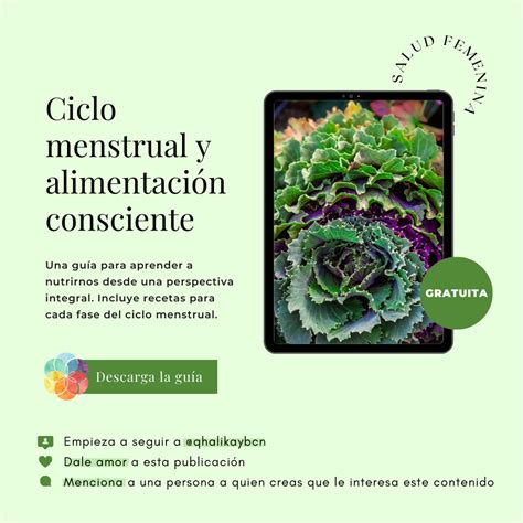 Nueva Guía Ciclo Menstrual Y Alimentación Consciente Qhali Kay