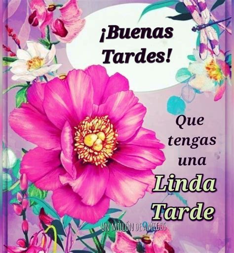 Feliz Tarde Saludos De Buenas Tardes Mensajes De Buenas Tardes