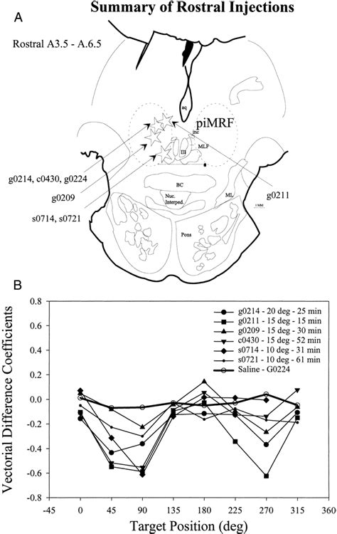 Summary Of All Muscimol Injections Performed In The Rostral Portion Of