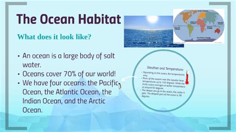 The Ocean Habitat by Vanessa Marriott on Prezi