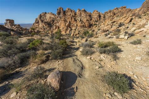 10 Scenic Hiking Trails In Joshua Tree National Park