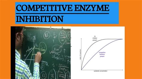 COMEPITIVE ENZYME INHIBITION YouTube