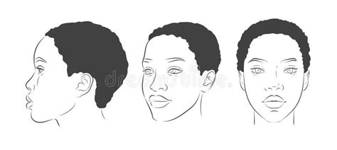 Vector African American Woman Face Set Of Dark Skinned Women Portrait Three Different Angles