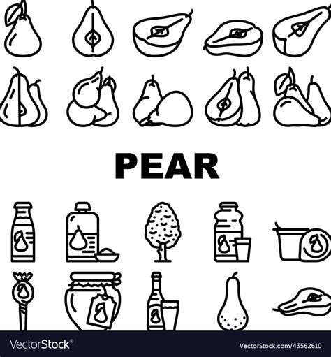 Pear Fruit Half Food Slice Icons Set Royalty Free Vector