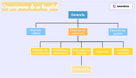 Organigramas Verticales De Empresas Tipos Y Guía Completa