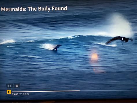 Mermaids The New Evidence The Body Found