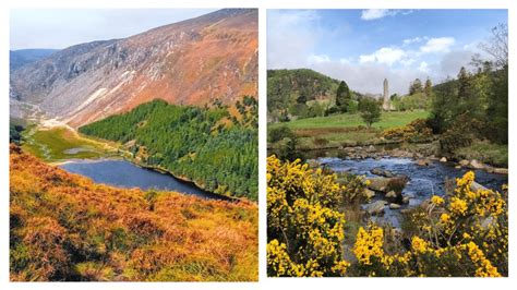 The 5 Most Scenic Walks In Glendalough Wicklow For 2023