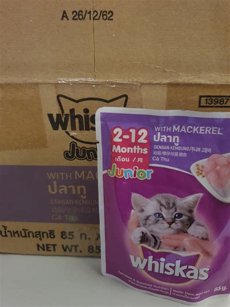 Whiskas Junior With Mackerel Pet Supplies Pet Food On Carousell