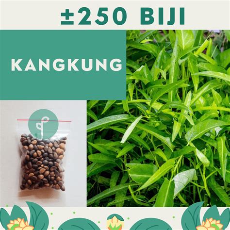 Jual Benih Bibit Kangkung Daun Lebar Sayuran Unggul Rajawali Benih