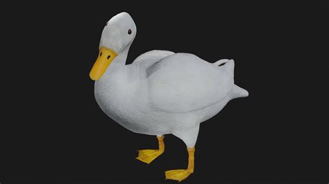 Duck 3d Model Rigged And Low Poly Game Ready