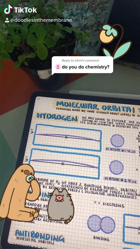 Organic Chemistry Educational Infographics Pi Electrons Doodles In The Membrane Artofit