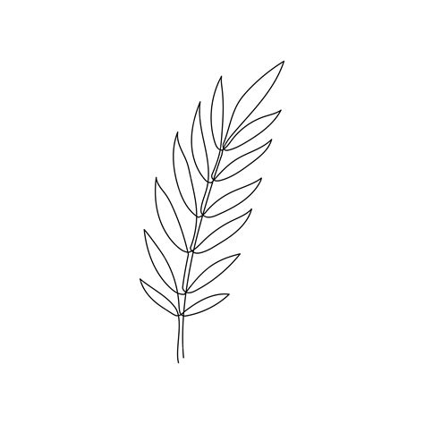 Premium Vector Line Bay Laurel Leaf Branch Art One Continuous Line