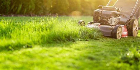 Lawn Maintenance Houston Abc Home Commercial