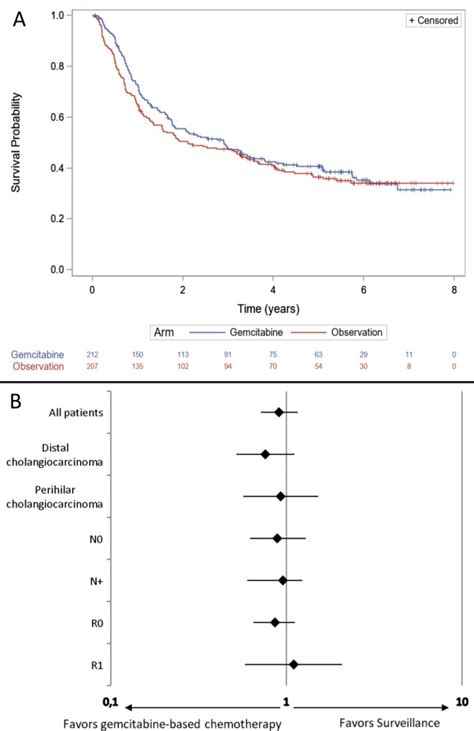 Individual Patient Data Meta Analysis Of Adjuvant Gemcitabine Based