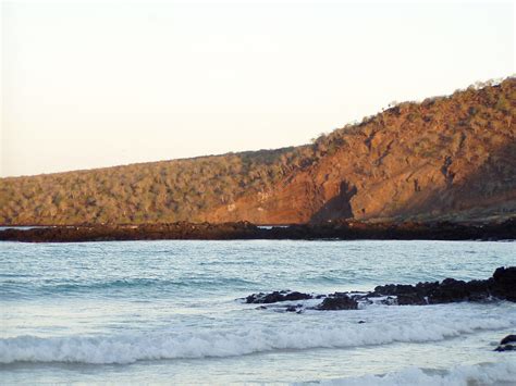 Cormorant Point Floreana Island Dan Flickr