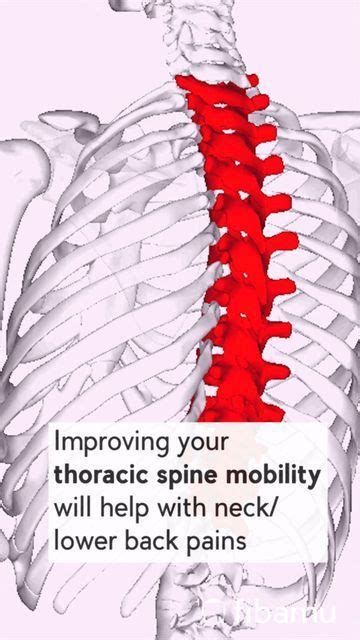 Trigger point release for sternocleidomastoid scm – Artofit