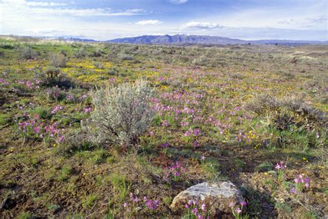 Cowiche Canyon Conservancy - The Conservation Alliance