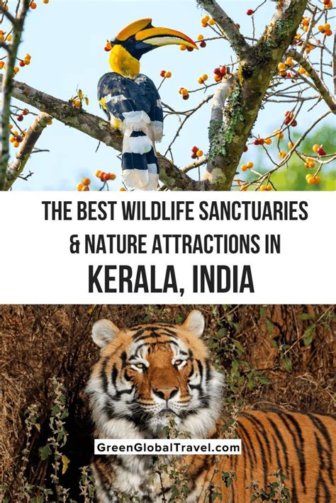 Kerala Wildlife Sanctuaries & Nature Attractions | Wildlife sanctuary ...