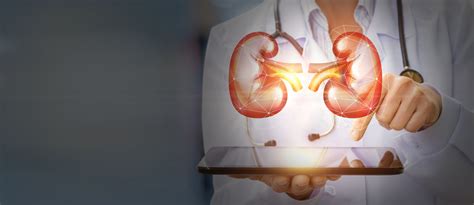 Everything You Should Know About The Nephrology And Urology Devices