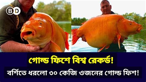 British Fisherman Catches A Whopping Kg Goldfish Ll World News Ll Bd