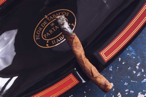 Review Nh Gi X G Patagas Cigar Partagas Culebras Gi X G