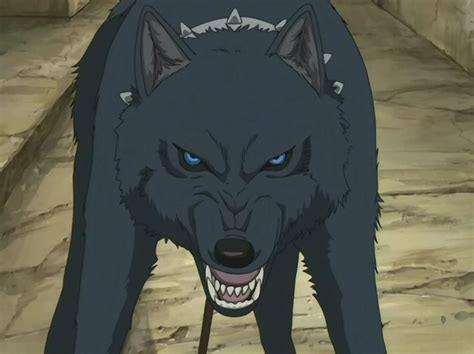 50 Best Human Wolf Hybrid Characters In Anime Hood Mwr