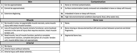 Management Of Open Fracture Intechopen