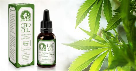 El Cannabidiol Y El Aceite De Cbd