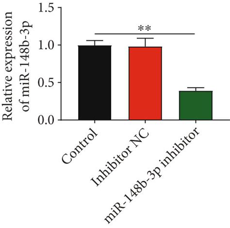 Silencing Of MiR 148b 3p Promotes The Viability And Represses The