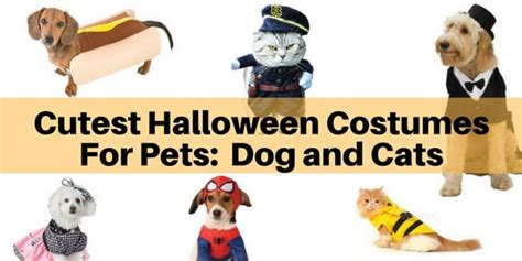 The Cutest Halloween Costumes for Pets: Dog and Cat outfits - The Flooring Girl