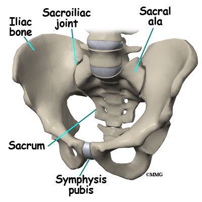 Sacral Insufficiency Fractures - Orthopedic Surgery, Algonquin, IL ...