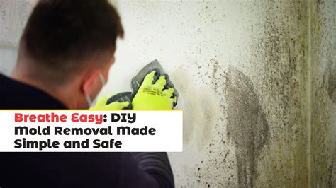 Breathe Easy: DIY Mold Removal Made Simple and Safe