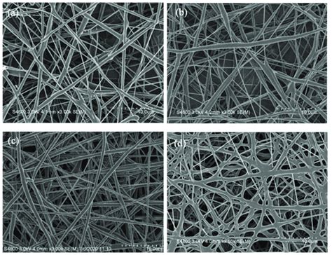 Sem Images Of The Pcl G Paa Electrospun Nanofibers A Pcl G Paa I