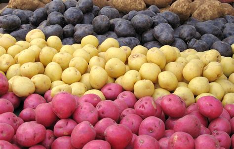 Tipos De Batatas Variedades · Iguaria Receita E Culinária