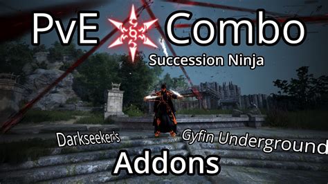 Bdo Succession Ninja Pve Burst Combo Addons For Endgamelategame