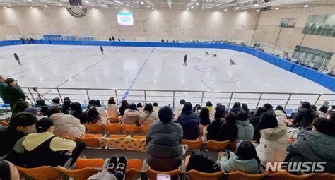 제104회 전국동계체육대회 네이트 뉴스