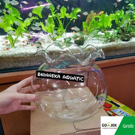 Jual Aquarium Kaca Bulat Toples Liter Fish Bowl Grab Gojek Only