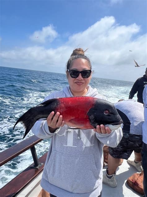 Eldorado Sportfishing Fish Report