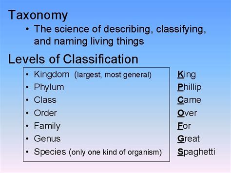 classification  classify classification   easier