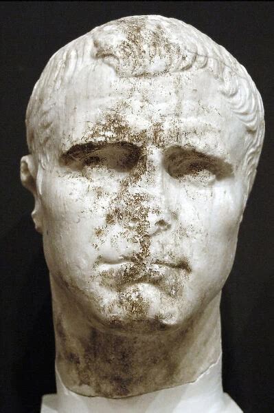 Bust Of Marcus Vipsanius Agrippa Roman General Photos Prints Framed