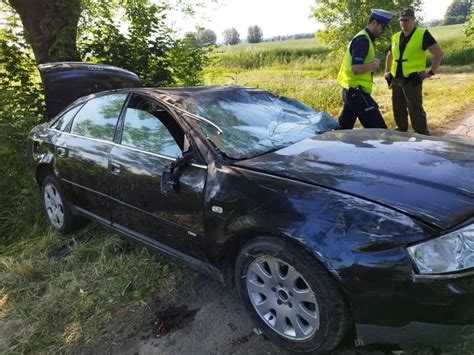 Audi uderzyło w drzewo i dachowało 32 latek nie żyje nie miał