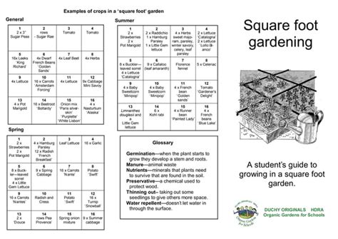 Simple Square Foot Gardening For Schools Teacher Guide