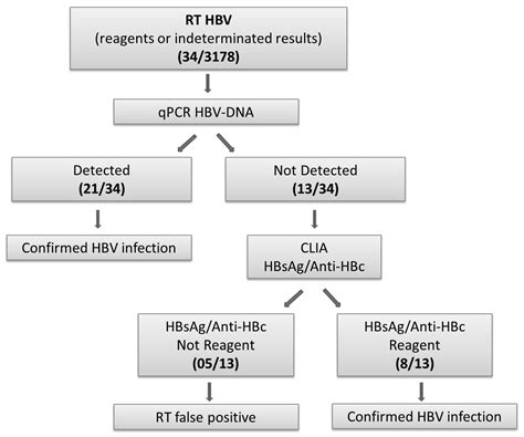 Tropicalmed Free Full Text Hepatitis B Prevalence Among Men Who Have Sex With Men In Brazil