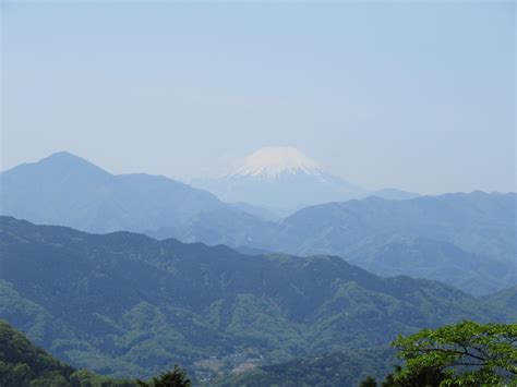 新緑の高尾山 Skydreamの日記