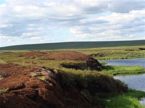 Peatland carbon and nitrogen stocks vulnerable to permafrost thaw