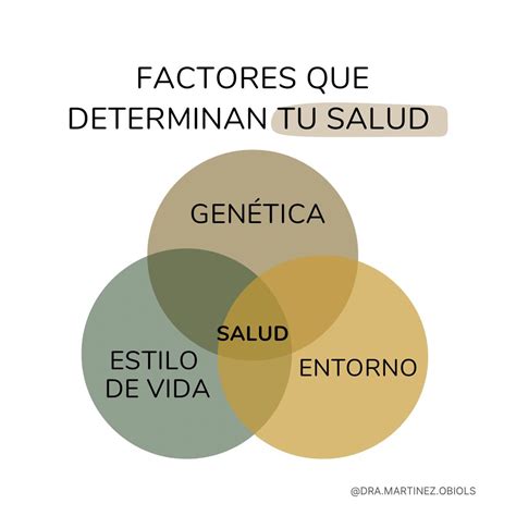 Salutogénesis el poder de tu propia salud Blog Vida Saludable