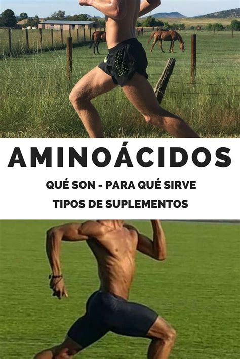 AminoÁcidos Qué Son Importancia Fuentes Naturales Y Suplementos InfografÍa Aminoacido