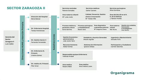 Organigrama Servicios Salud Sector Zaragoza Ii