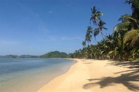 Sqm Beachfront Property For Sale At Ocamocam Beach New Busuanga